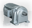 FUJI Geared Motor